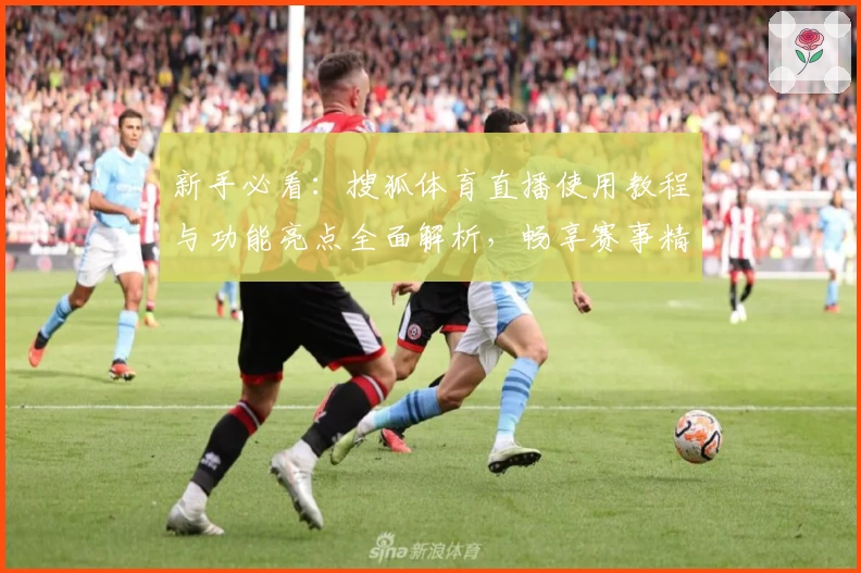 新手必看：搜狐体育直播使用教程与功能亮点全面解析，畅享赛事精彩一刻