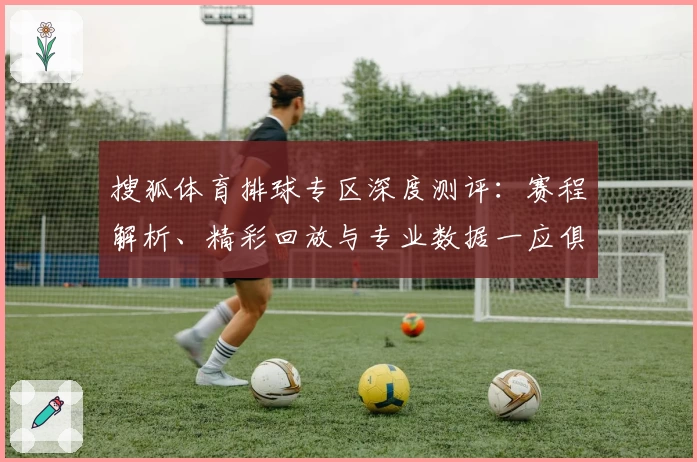 搜狐体育排球专区深度测评:赛程解析、精彩回放与专业数据一应俱全