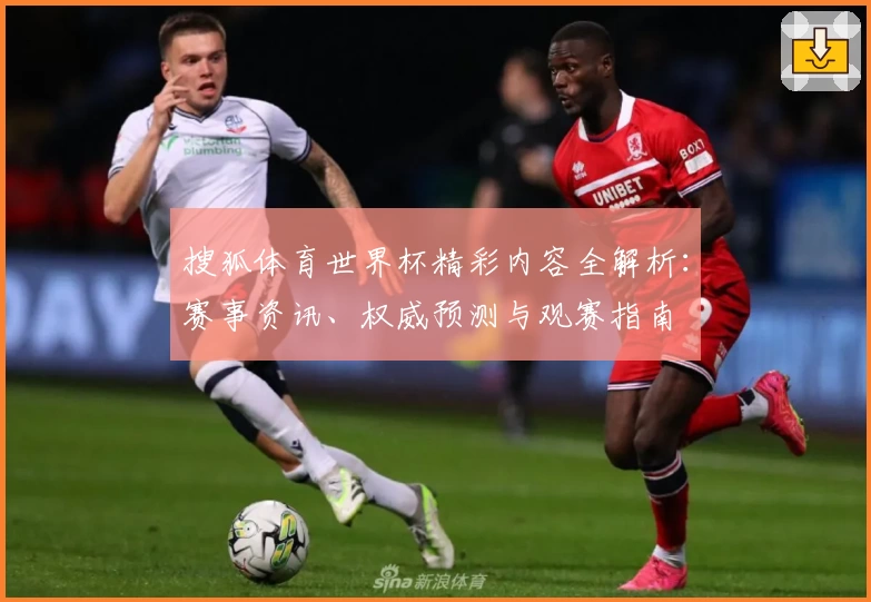 搜狐体育世界杯精彩内容全解析：赛事资讯、权威预测与观赛指南