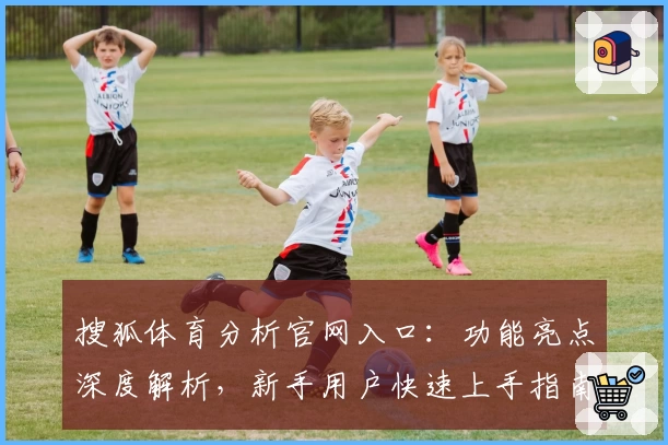 搜狐体育分析官网入口：功能亮点深度解析，新手用户快速上手指南