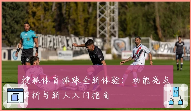 搜狐体育排球全新体验：功能亮点解析与新人入门指南