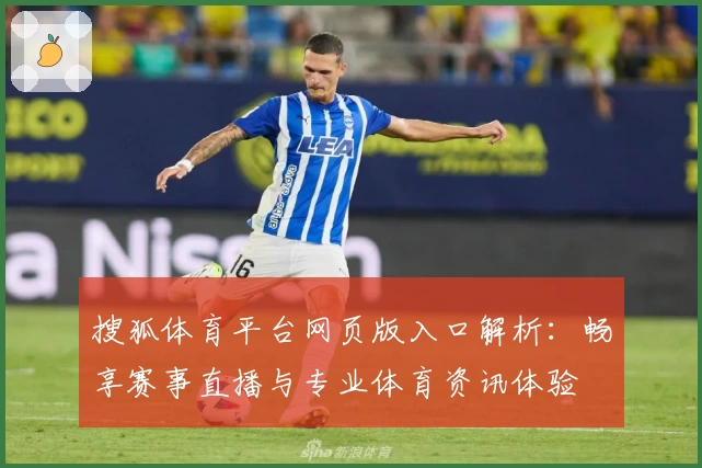搜狐体育平台网页版入口解析：畅享赛事直播与专业体育资讯体验