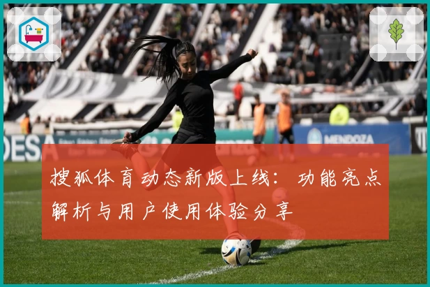 搜狐体育动态新版上线：功能亮点解析与用户使用体验分享