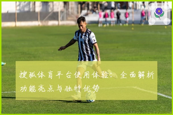 搜狐体育平台使用体验：全面解析功能亮点与独特优势