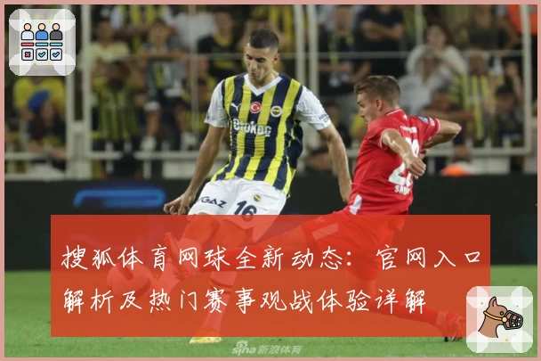 搜狐体育网球全新动态：官网入口解析及热门赛事观战体验详解